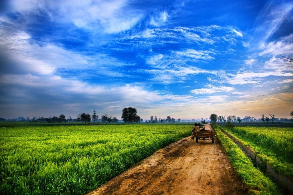 agri plot in kokan